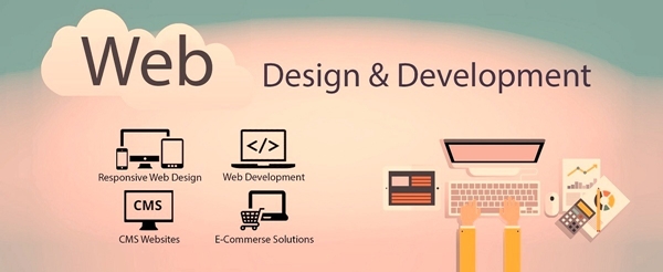 Website Design & Development